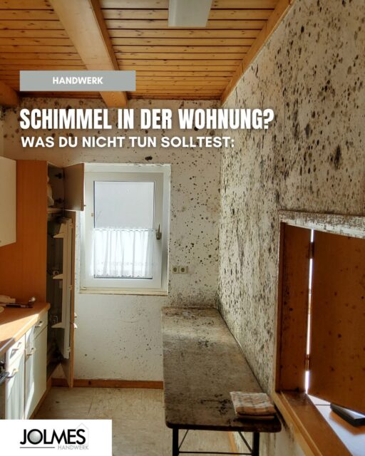 Schimmel entdeckt? Dann vermeide diese Fehler. 👆

Wer Schimmel dauerhaft loswerden möchte, muss die Ursache beseitigen, nicht nur die sichtbaren Flecken. Viele greifen zuerst zu Farbe, Essig oder anderen Hausmitteln. Die Gefahr dabei: Der Schimmel kommt zurück, wächst unbemerkt weiter und gefährdet deine Gesundheit.

Du bist dir unsicher? Wir unterstützen dich gerne.
📍 Paderborn und Umgebung

#Schimmel #Schimmelsanierung #Gebäudereinigung #Paderborn #JolmesGruppe