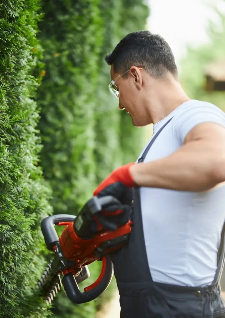 Ihr Heckenschnitt in Paderborn